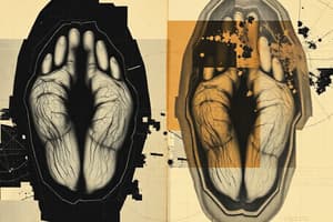 Forensic Ballistics Overview Quiz