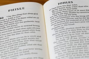 Epistles of John in the New Testament