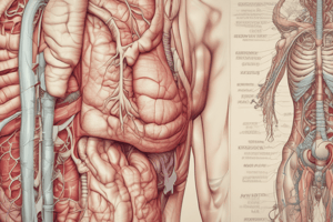 Anatomy of Stomach's Mucosa