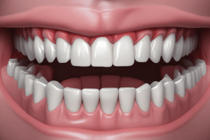 Tooth Numbering System in Dentistry