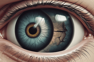 Anatomía del Ojo y Órbita Ocular