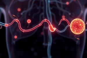 Glucose Metabolism and Transport Quiz