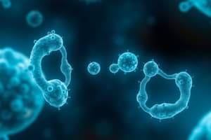 Mitosis Stages and Chromosome Dynamics