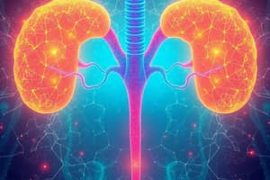 Adrenal Glands Overview