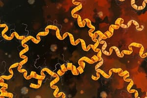 Proteomics Overview Quiz