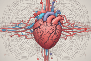 Contraindications in Cardiovascular Pharmacology