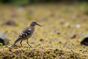 Lecture 2: Values in Conservation Biology