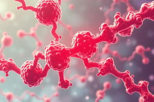 Glycogen Metabolism and Carbohydrates