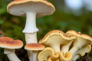 Fungi: Structure and Function Quiz