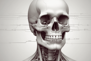 Medical Physics Chapter 3: Physics of the Skeleton