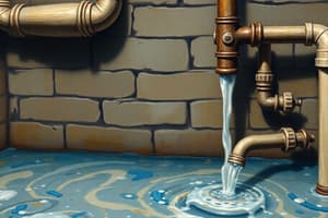 Plumbing History and Techniques Quiz