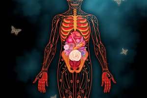 Levels and Types of Tissues in the Human Body