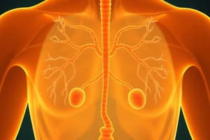 Peripheral Endocrine Glands Overview