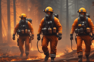 Tactics for fighting forest fires