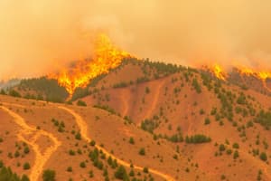 Tema 6. Factores del Comportamiento del Fuego en Bosques