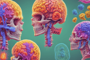 Radionuclides and Imaging Techniques Quiz