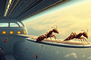 Boeing Starliner and Carpenter Ants Quiz