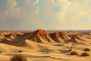 Wind Erosion and Its Types