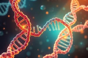 Protein Synthesis Overview