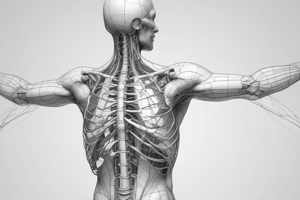 Examination of the Upper Extremities