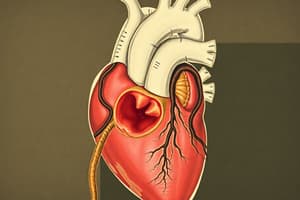 Cardiovascular and respiratory embryo