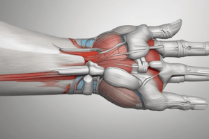 De Quervain Tendinopathy: Thumbs and Finger Tendon Lesions