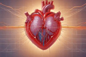 Cardiac Conduction System