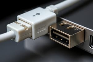 Understanding USB and Video Ports