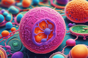 Understanding Animal Cells