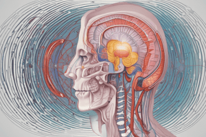 Anatomy LE 6: Intro to CT Scan