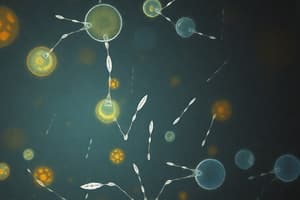 Biology: Plasma Membranes Overview