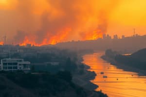 Los Angeles Wildfires of Early 2025