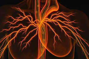 Sodium Channel Regulation in Heart Function