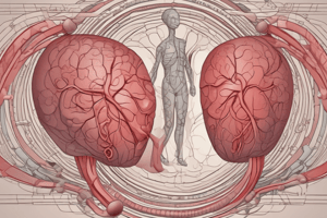 Clase 4 | Hipertensión arterial