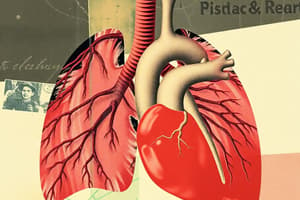 Pulmonary Circulation Quiz