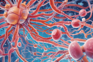 Central Nervous System Analgesic Drugs Classification