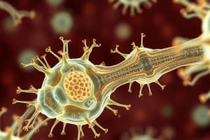 Biology Chapter 1: The Cell and Its Structure