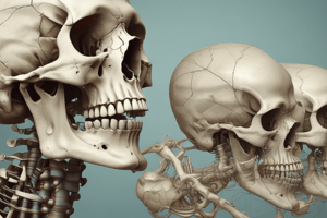 Osteology: The Study of Bones in Biology