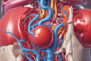 24.1 Introduction to the Urinary System