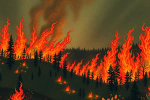 2023 Canadian Wildfires: Zombie Fires