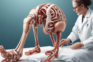 Rigid Rocker Bottom Deformity Diagnosis and Treatment