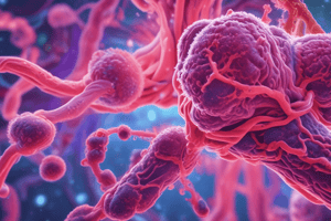 Mycobacterium Tuberculosis - TB Corral Quiz