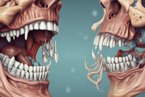 Maxillary Sinus Anatomy