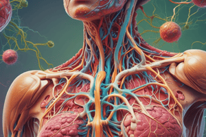 Lymphatic System and its Role in the Immune System