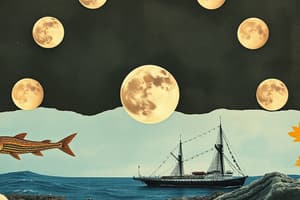 The Moon's Influence on Marine Life