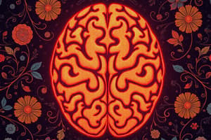 Neuroimaging Techniques Quiz