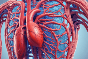 Circulatory and Respiratory Systems Interaction