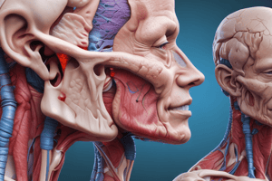 Specific Neck Pain: Anatomical pathology and Risk Factors