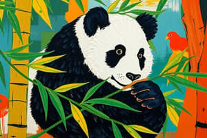 Panda Habitat and Conservation Quiz