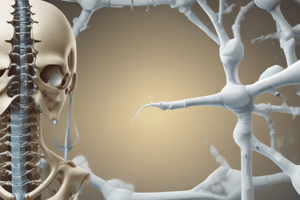 Surface Composition in Osseointegration